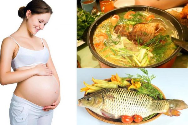 21+ Thực phẩm mẹ bầu nên kiêng khi mang thai để tránh ảnh hưởng đến thai nhi