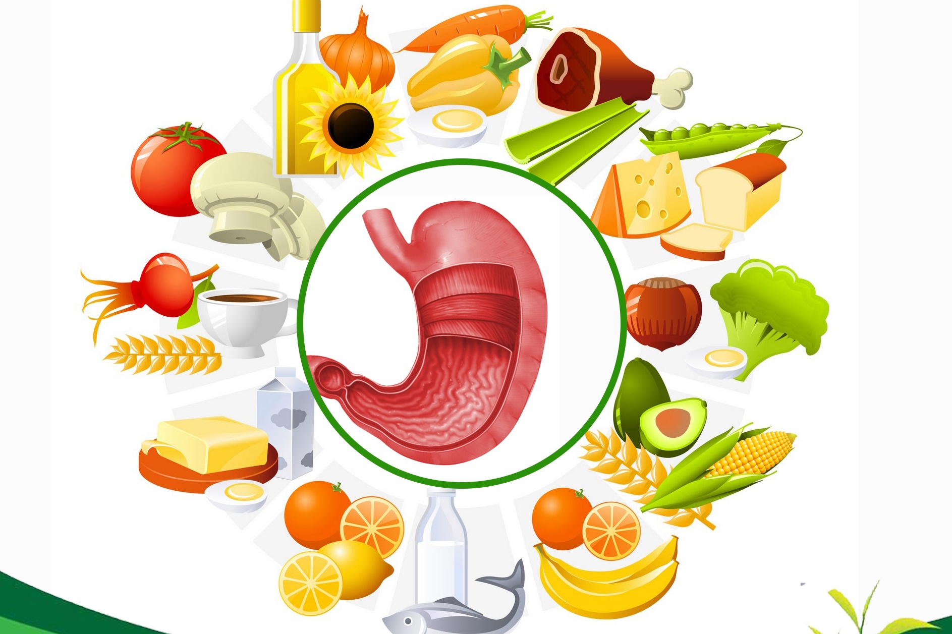 Dinh dưỡng cho người bị bệnh viêm loét dạ dày – tá tràng bạn nên biết